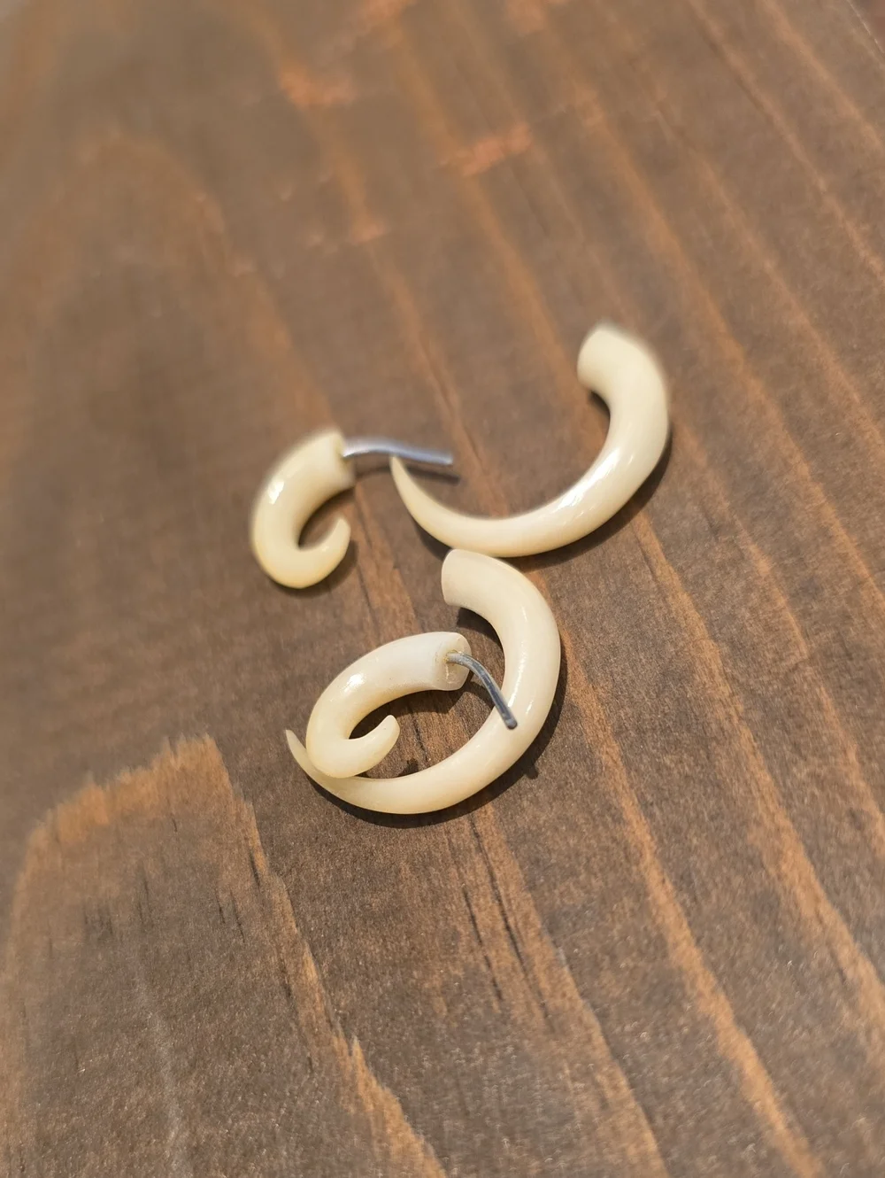 Earthbound Earrings